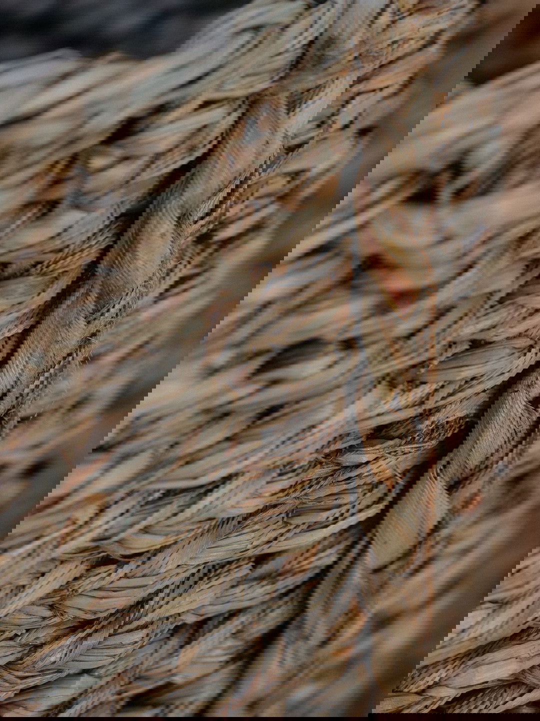 Mijas - Fibra & Vetas