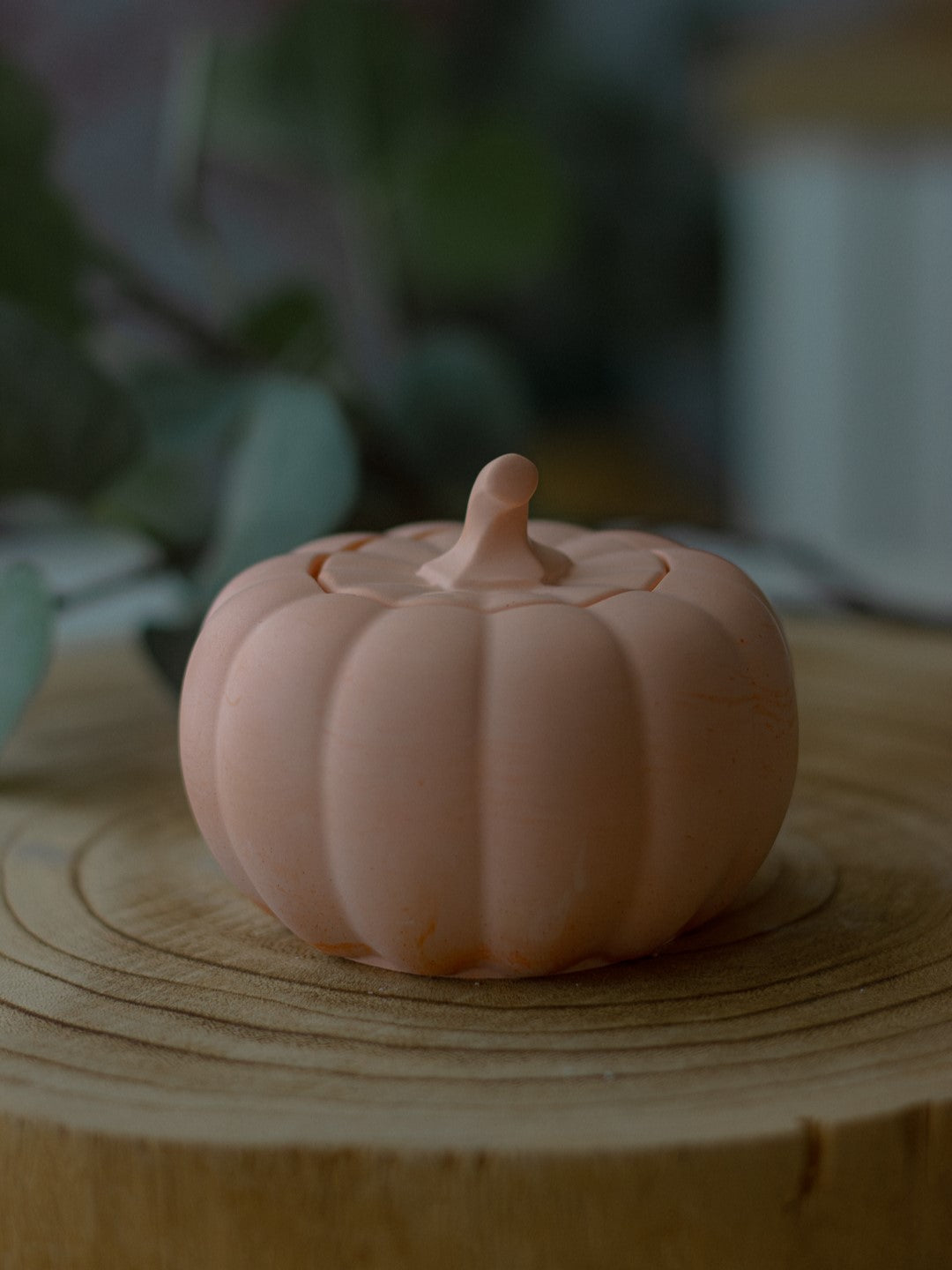 Mini Calabaza - Fibra & Vetas