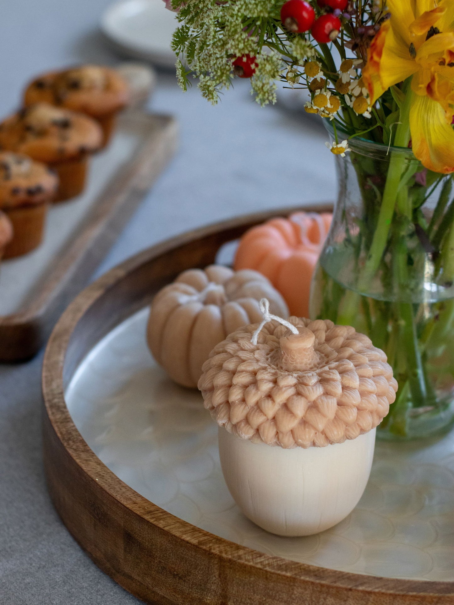 Vela Bellota - Fibra & Vetas