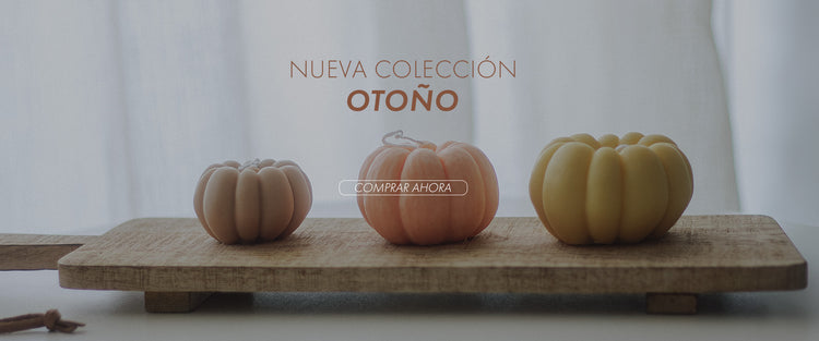 Otoño 2024 | Fibra & Vetas