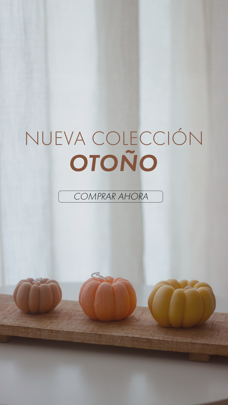 Otoño 2024 | Fibra & Vetas